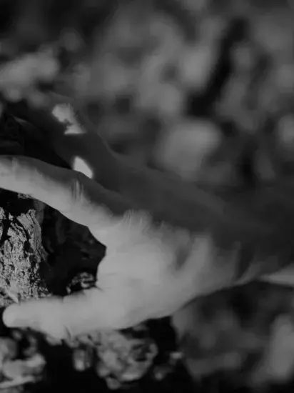 El centro del proyecto, siempre, será el viñedo, entendiendo la máxima de que todo comienza en el origen, sin un buen comienzo es difícil escribir un buen final.